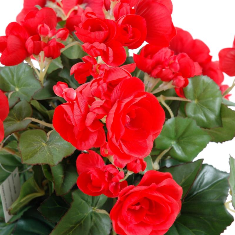Begonia Artificiel*93