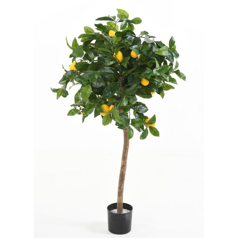 Citronnier Artificiel Tete