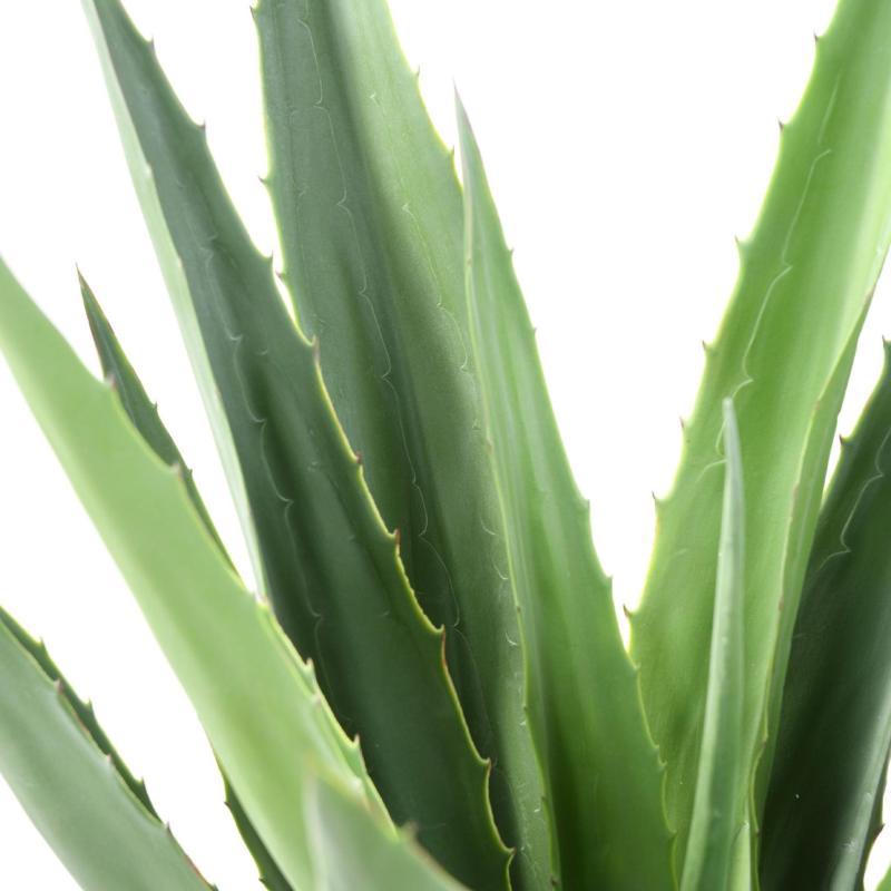 Agave Artificielle Furcraea