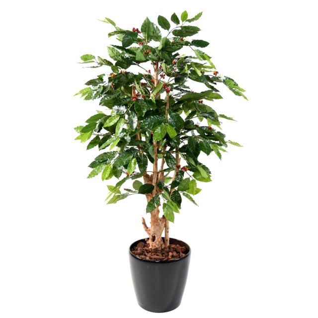 Cafeier Artificiel Fleurs Troncs Noueux