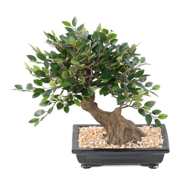 Bonsai Orme Artificiel en Coupe Gravier