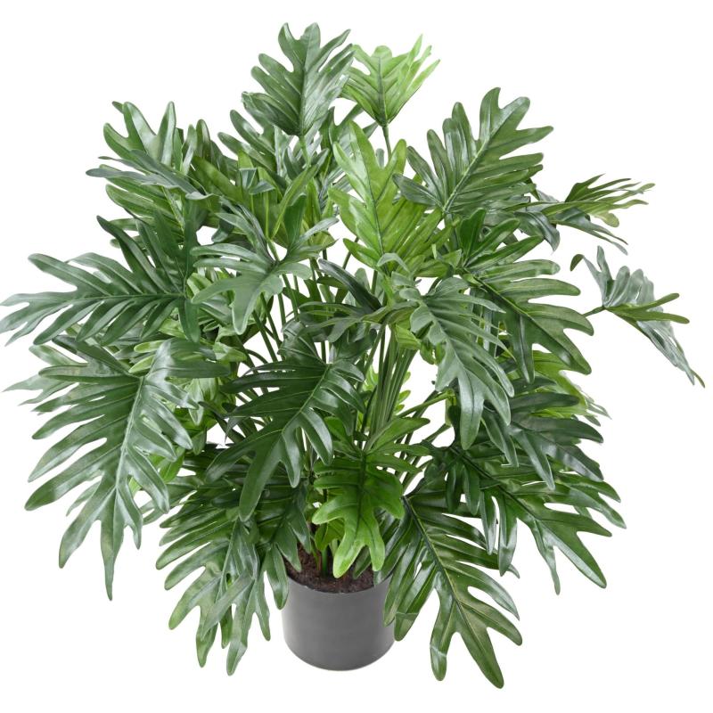 Philodendron Artificiel Selloum