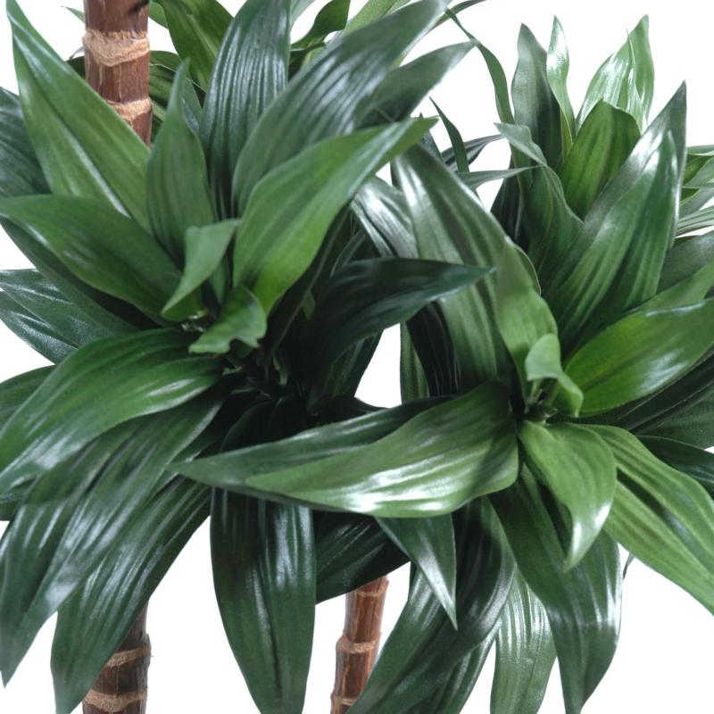 Dracaena Artificiel Fragrans