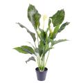 Spathiphyllum Artificiel PLAST 5 FL