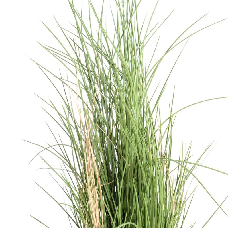 Herbe Artificielle Honey Grass