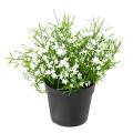Marguerite Artificielle Mini 20 Pot