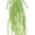 Tillandsia Artificiel 90