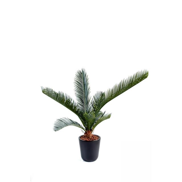 Cycas Artificiel Baby*10