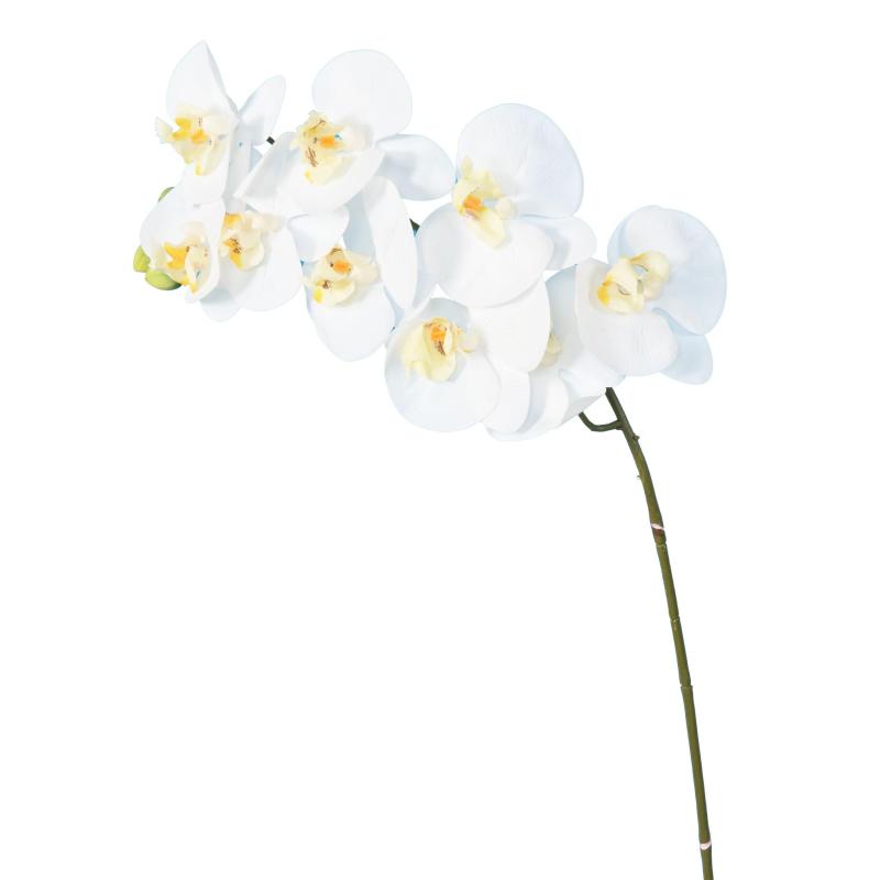 Phalaenopsis Artificielle Tige