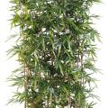 Bambou Artificiel NEW Haie UV Socle 75