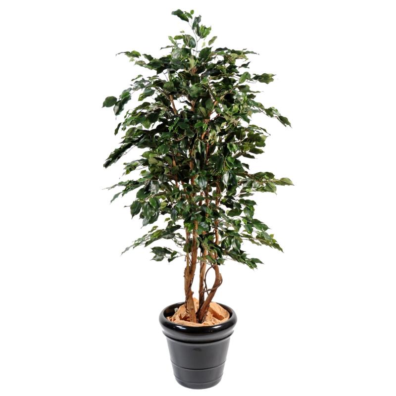 Ficus Artificiel Exotica