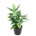 Hosta Artificiel 28 Feuilles