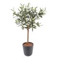 Olivier Artificiel Plant Mini