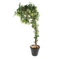Vigne Artificielle Round