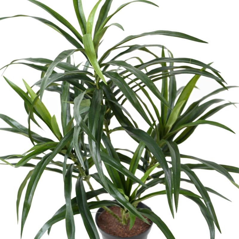 Dracaena Artificiel Anita Pot