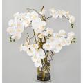 Composition Artificielle Phalaenopsis