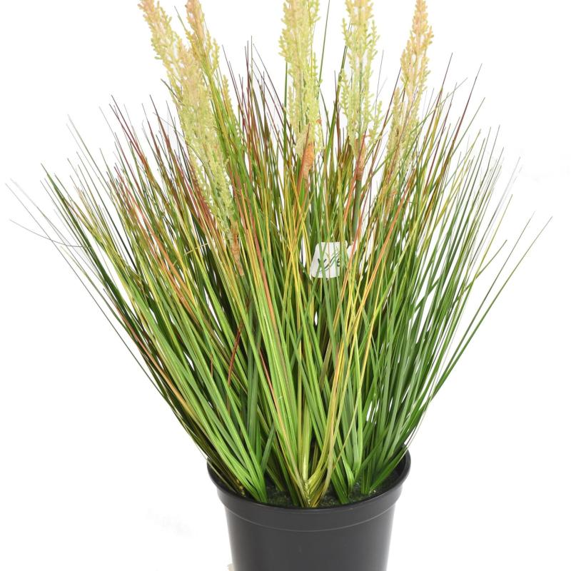 Onion Artificiel Grass Graine