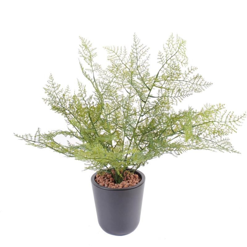 Asparagus Artificiel Plastique