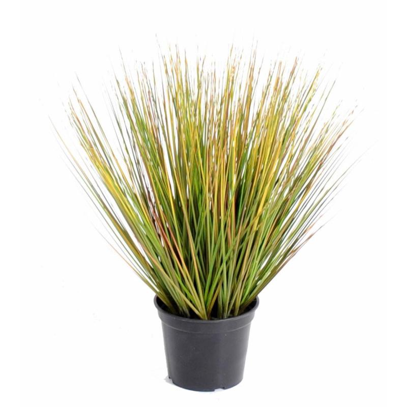 Onion Artificiel Grass Round GF