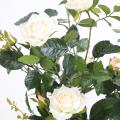 Rosier Artificiel Royal