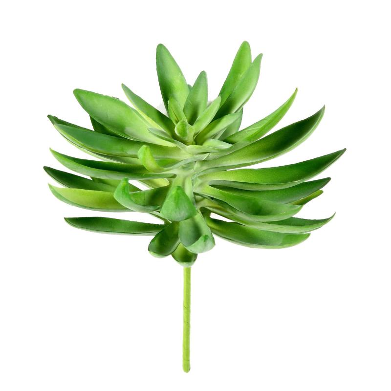 Succulente Artificielle 16