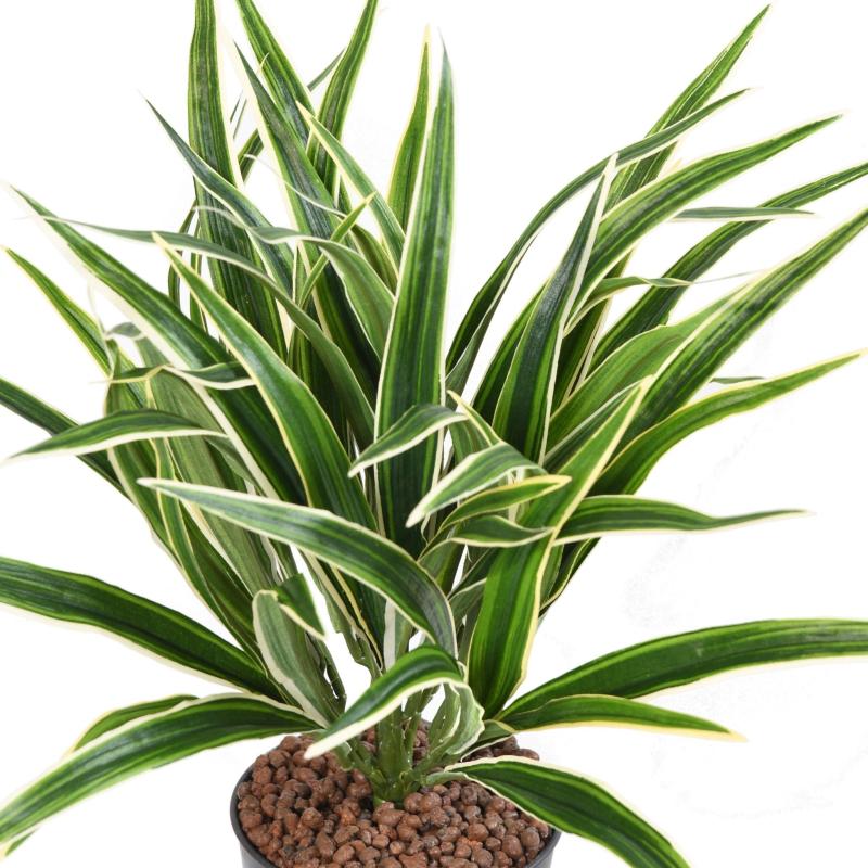 Chlorophytum Artificiel Buisson