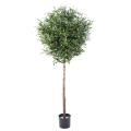 Olivier Artificiel Tete Boule