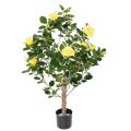 Rosier Artificiel Royal