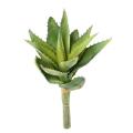 Aloevera Artificielle 12