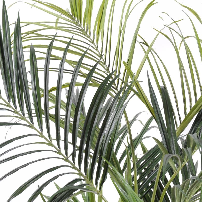 Kentia Artificiel Royal