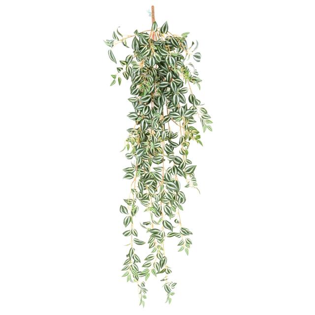 Tradescantia Artificiel