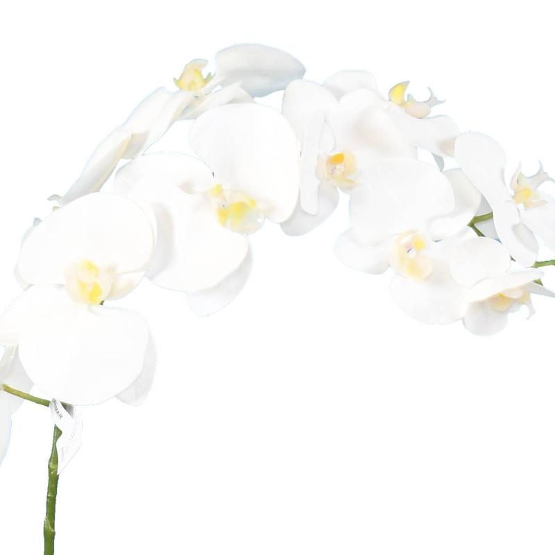 Phalaenopsis Artificielle Motte 60