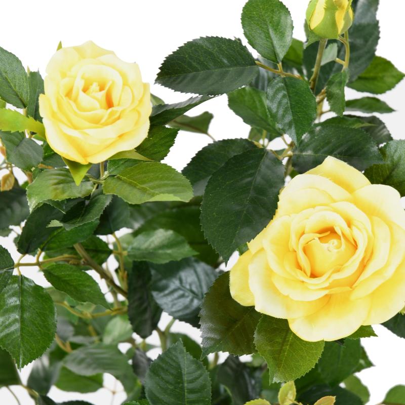 Rosier Artificiel Royal