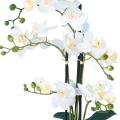 Phalaenopsis Artificielle Pot*5