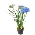 Agapanthe Artificielle en Motte
