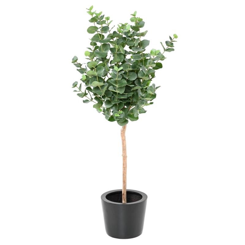 Eucalyptus Artificiel Gunnii Tige
