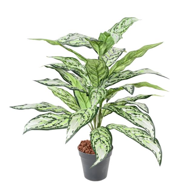 Aglaonema Artificiel *28