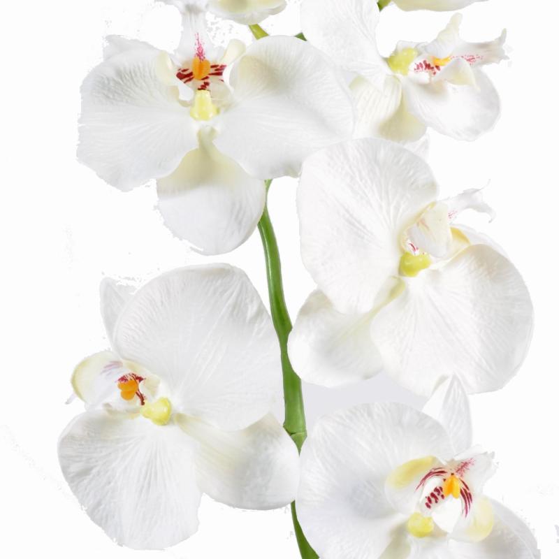 Phalaenopsis Artificielle Tige Medium*6