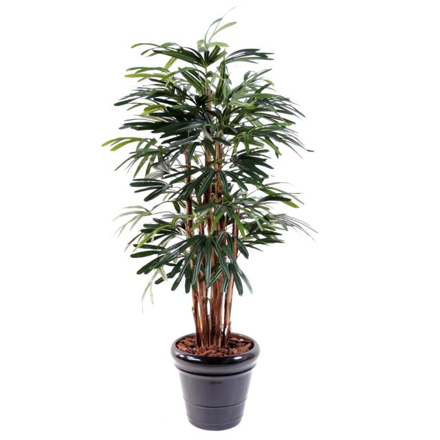 Palmier Artificiel Rhapis Lady