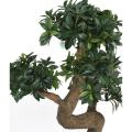 Bonsai Euonymus Japonicus Ficus Artificiel