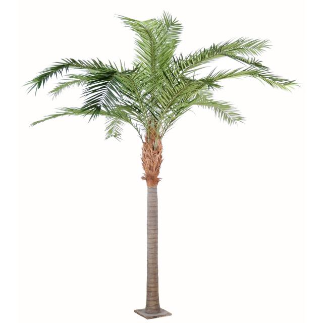 Phoenix Artificiel Canariensis