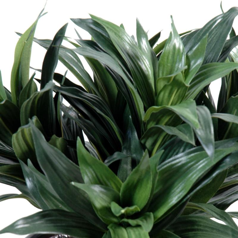Dracaena Artificiel Fragans Mini Piquet