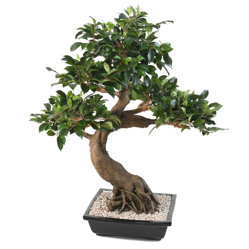 Bonsai Artificiel Ficus en Coupe