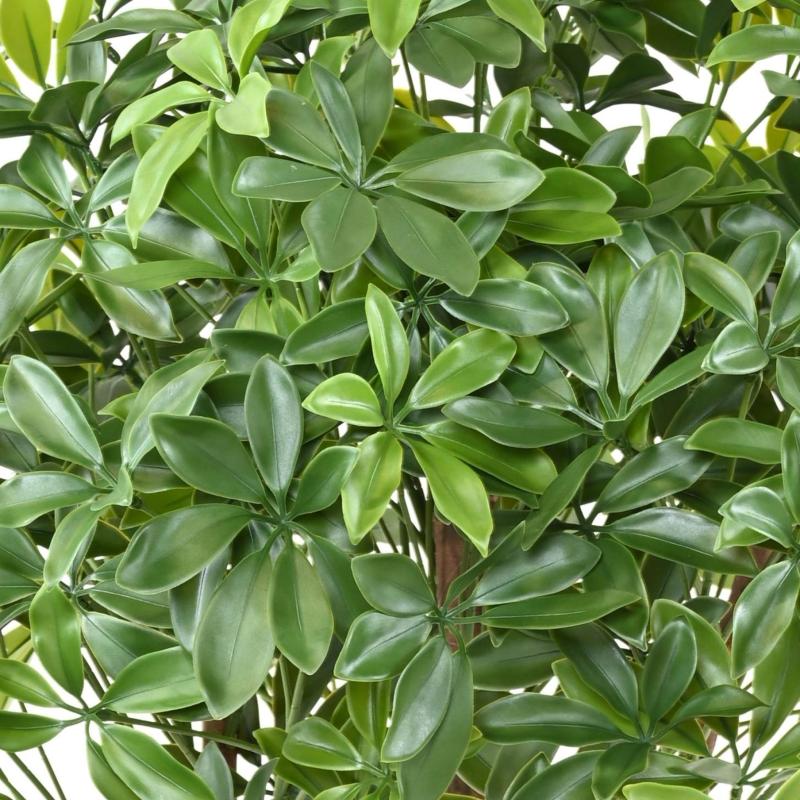 Schefflera Artificiel Buisson PLAST UV