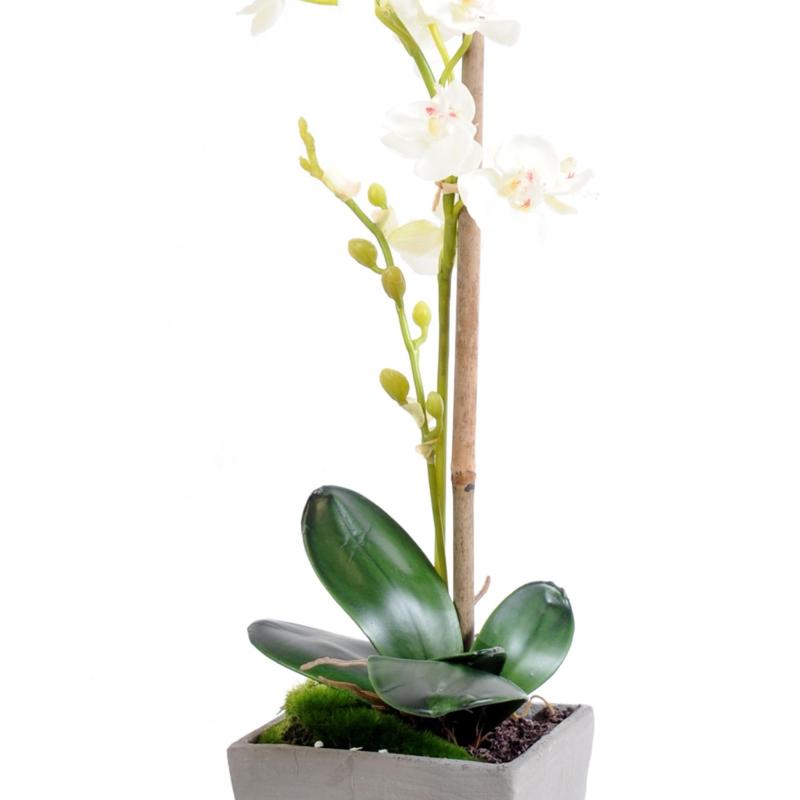 Phalaenopsis Artificielle Pot
