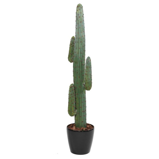 Cactus Artificiel Mexico GR