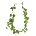 Pothos Artificiel Guirlande