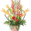 Bouquet Artificiel Anthurium Strelitzia