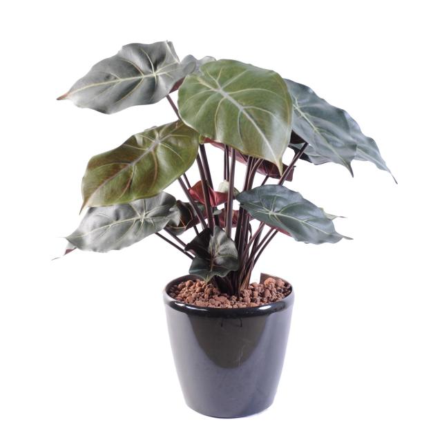 Syngonium Artificiel Podophyllum