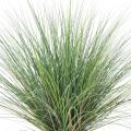 Onion Grass Artificiel NEW Round